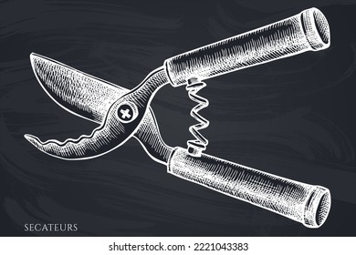 Gardening hand drawn vector illustrations collection. Chalk secateurs.