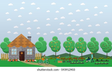 Gardening, harvesting concept vector illustration in flat style. Gardeners picking tomatoes, watermelon and cabbage.