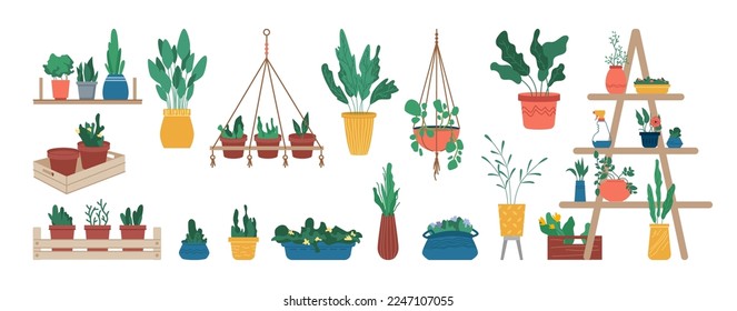 Gardening hobby or florist shop with flower pots and houseplants icons set. Isolated potted plants with lush greenery and foliage, flourishing and blossom. Vector in flat style