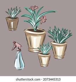 Gardening or horticulture concept. Collection of garden tools and plants. Design elements for print, packaging or stickers. Isolated vector objects.
