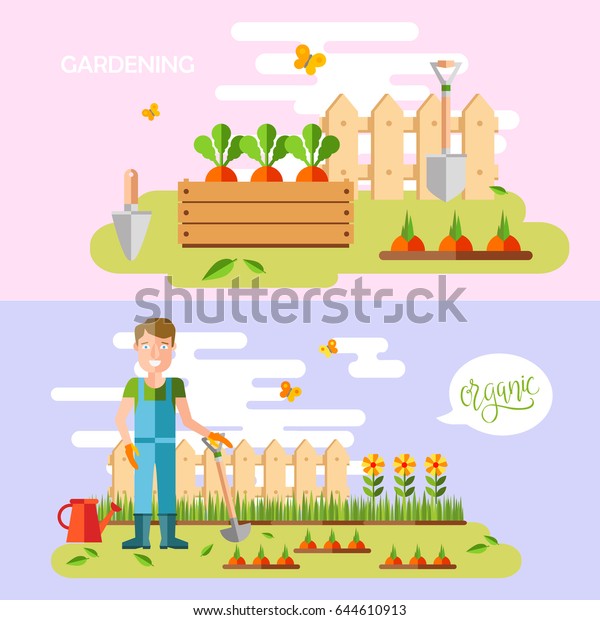 Gardening Horticulture Hobby Tools Vegetables Crate Stock Vector ...