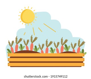 Gardening horticulture planting carrots growing vector illustration