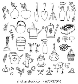 Gardening, horticulture vector set, equipment and tools, vegetables and plants isolated on white background