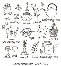 Gardening, horticulture vector set, equipment and tools, vegetables and plants isolated on white background