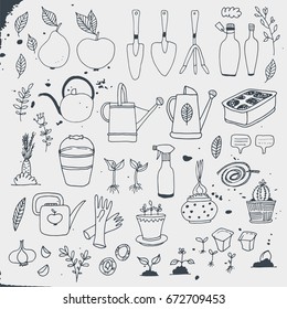 Gardening, horticulture vector set, equipment and tools, vegetables and plants isolated on white background