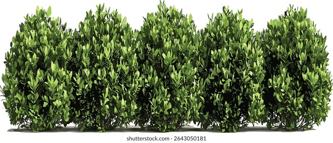 Gardening landscape cutout green shrubs, row of plants, eco friendly nature, outdoor scene, garden design, greenery decor, botanical landscape, fresh plants, nature row