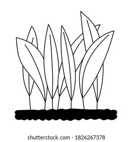 gardening, leaves planted in the soil isolated line icon style vector illustration