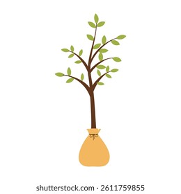 Gardening and Organic Farming Equipment Icons Collection