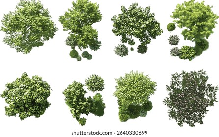 Gardening outdoors trees set, cutout top view trees, landscaping collection, grand trees park layout, urban nature, peaceful greenery, tree map assets, aerial botany