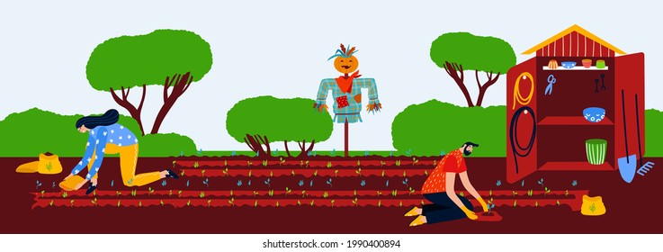 Gardening plant concept, vector illustration, man woman character work at nature, grow green agriculture in garden, couple sow seed at patch.