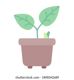 gardening plant pot in spring using soft color and flat style