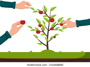 Gardening and Planting
