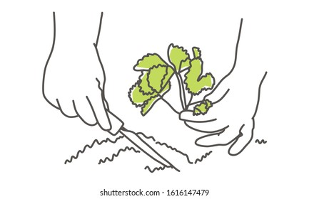 Gardening or planting concept. Hand drawn vector illustration.
