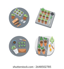 Gardening and Planting A Guide to Growing Seedlings