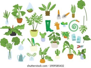 Gardening plants and planters vector set