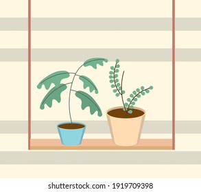 gardening potted plants in shelf decoration vector illustration
