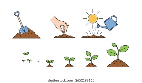 Guia visual do processo de jardinagem mostrando o crescimento do broto do plantio da semente e o desenvolvimento maduro da planta