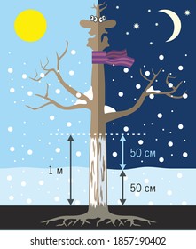 Jardinería: normas para la preparación de un árbol frutal para el invierno. Cuidando el árbol día y noche. Un árbol con una bufanda está bajo la nieve. Infografía plana. Ilustración vectorial.
