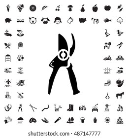 Gardening scissors icon illustration isolated vector sign symbol