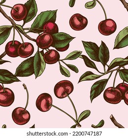 Gardening seamless pattern background design. Engraved style. Hand drawn cherry.