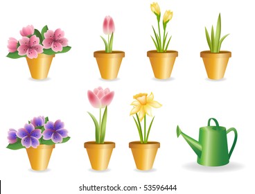 Gardening set.  Blossom flower. Vector illustration.