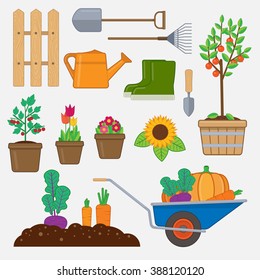 Gardening set. Illustration with gardening tools,wooden fence, flowers and plants in pots, gumboots, and wheelbarrow with vegetables.
