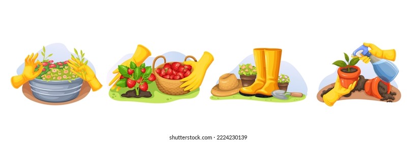 Ilustración vectorial de conjunto de jardinería. Dibujo de jardineros aislados manos en guantes cuidado de flores de jardín, plantas de regar granjeros con botellas de spray, recolección de fresa, trabajo con herramientas de jardín