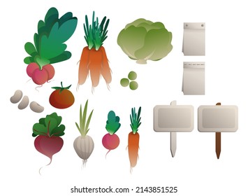 gardening set vegetables beet onion radish carrot cabbage tomato beans and seeds packets markers signs editable vector isolated elements