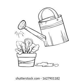 Gardening, spring garden field work. Watering can watering seedlings in a flower pot. Growing vegetables and flowers business. Landscaping of the workspace. Hand drawn vector sketch linear style