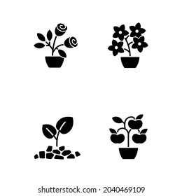 Gardening store categories black glyph icons set on white space. Flowering tree shrubs. Growing natural foods in home garden. Gardening hobby. Silhouette symbols. Vector isolated illustration