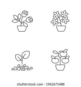 Gardening store categories linear icons set. Flowering tree shrubs. Growing natural foods in home garden. Customizable thin line contour symbols. Isolated vector outline illustrations. Editable stroke