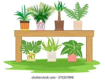 gardening table with potted herbs 