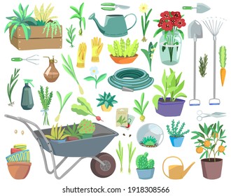 Gardening theme, tools, potted plants, accessories. Collection of hand drawn vector illustrations. Colorful cartoon cliparts isolated on white. Elements for design, print, decor, card, sticker, banner