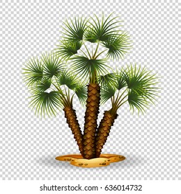 Gardening theme wtih palm tree illustration