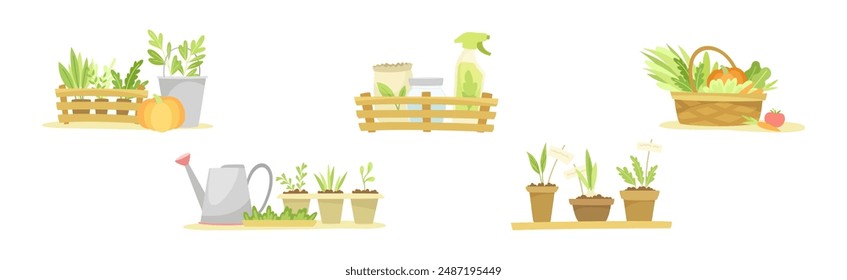 Gardening with Tool and Equipment for Plant Cultivation and Agriculture Vector Set