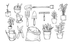 Gardening Tool Handdrawn Illustration Engraving