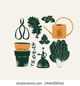 Gardening tools collection. Watering can with plant pots and various kitchen herbs