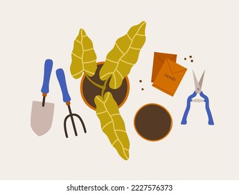Gardening tools. Plants in pots, seeds, scissors, shovel, pitchfork. Concept of eco gardening, tools for growing plants, houseplants. 