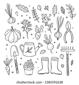 Gardening vector illustrations on white background. Growing plants and vegetables farmers collection