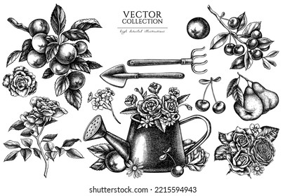 Gardening vintage illustrations collection. Hand drawn logo designs with watering can, apples, cherry, rose, pears, shovel, rake, chamomile, forget me not flower, ranunculus, roses.