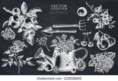 Gardening vintage illustrations collection. Hand drawn logo designs with watering can, apples, cherry, rose, pears, shovel, rake, chamomile, forget me not flower, ranunculus, roses.