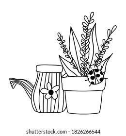 gardening, watering can potted plant with ladybug isolated vector illustration line icon style