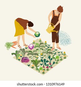 Gardening. Women work in vegetable garden growing organic food.Hand drawn vector illustration in flat colors.

