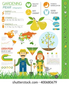 Gardening work, farming infographic. Pear. Graphic template. Flat style design. Vector illustration