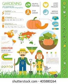Gardening work, farming infographic. Pumpkin. Graphic template. Flat style design. Vector illustration