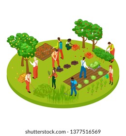 Gardening Workers, Fruit Tree And Plants Isometric Vector Illustration