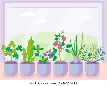  Gardering at home. Vegetables and greens.