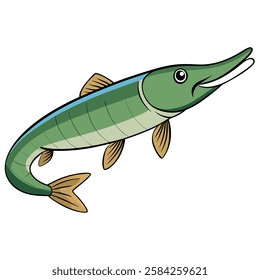 Garfish isolated flat vector illustration on white background