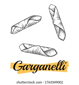 Garganelli Italian pasta, isolated on white. Group of garganelli close-up. Pasta italiana package design element. Pasta secco for cook or recipe book. Simple quick side dish for vegetarian. Vector.