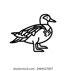 Garganey Outline Icon, Vector illustration